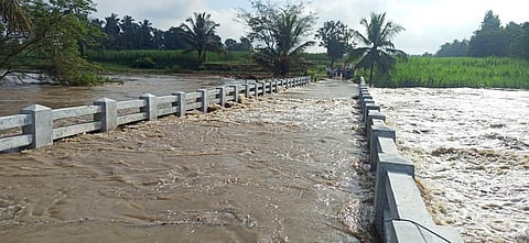 SRP_14-02jpg