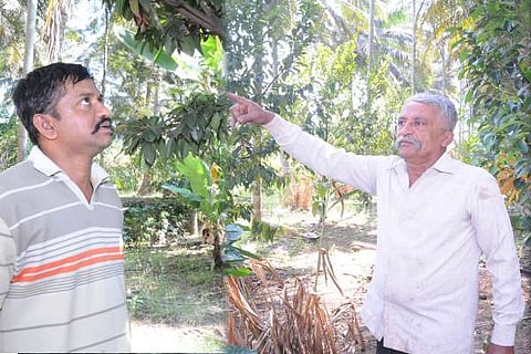 ಸಮಗ್ರ ಕೃಷಿ