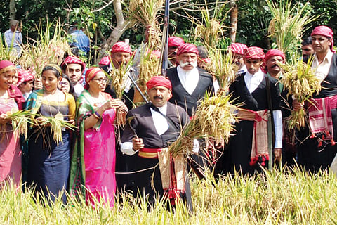 ಹುತ್ತರಿ