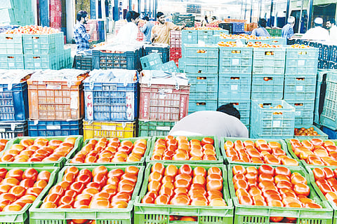 challakere tomato