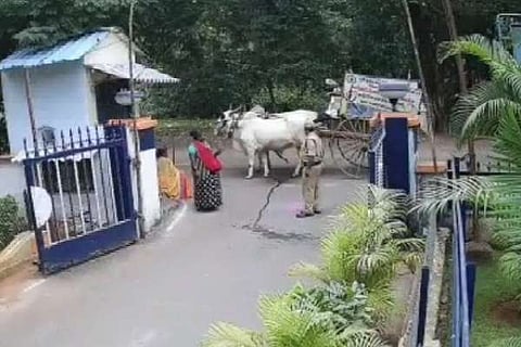 Telangana farmer fined after ox urinates in front of Singareni office