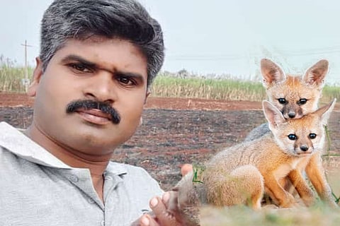 foxfinal