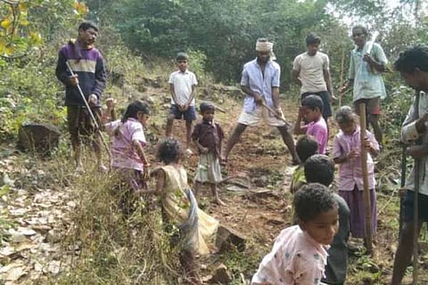 ಕಾಡು ದಾರಿ
