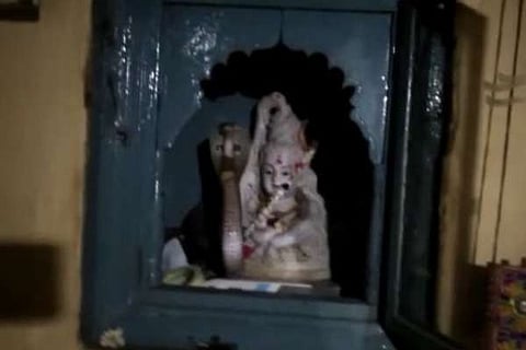 ನಾಗರಹಾವು