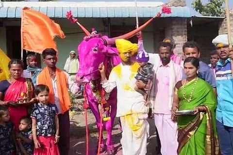 ಬಾಗಲಕೋಟೆಯಲ್ಲಿ ಗೆಲುವಿನ_ ಸರದಾರ ಎನಿಸಿಕೊಂಡ ಎತ್ತು ದಾಖಲೆ ಮೊತ್ತಕ್ಕೆ ಮಾರಾಟ!
