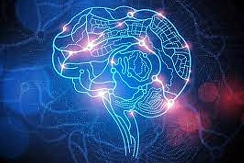 Brain Mapping