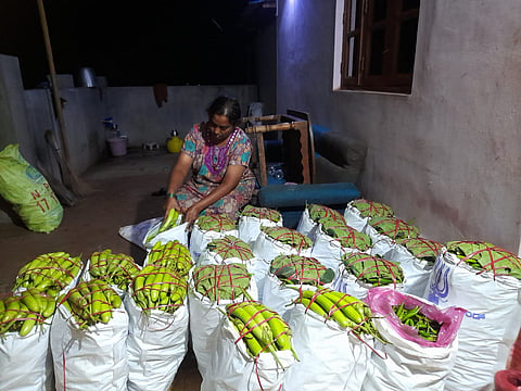 ಎಕರೆ ಆರು ಬೆಳೆ ಹತ್ತಾರು!?