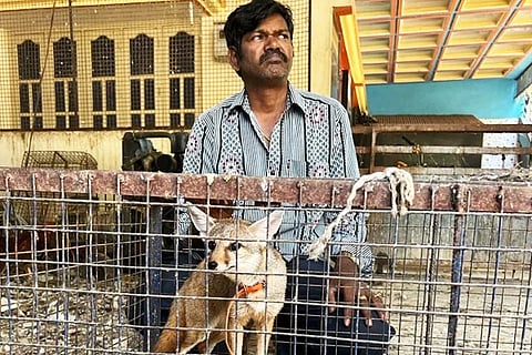 Man with Fox