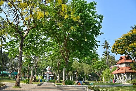 Park