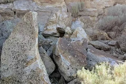 Spot the Rabbit