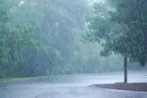 rain