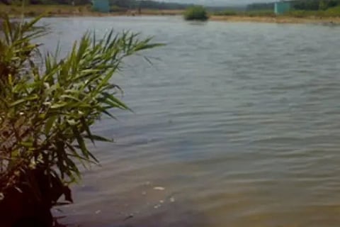 river