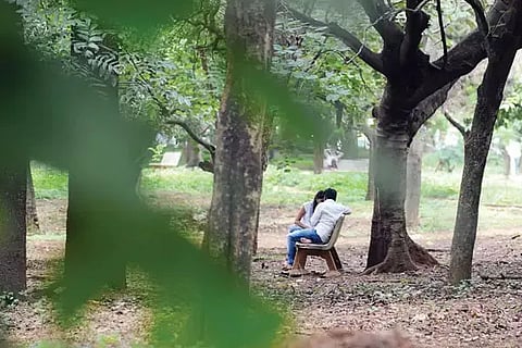 Cubbon park,