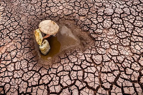 Land Dryed due to Ground water Shortage