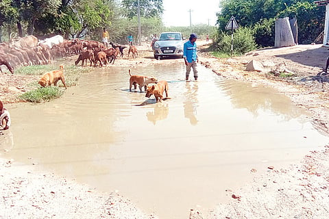 Kalakeri Jeerala Road