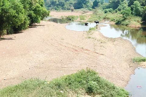Photo Of Shambhavi River