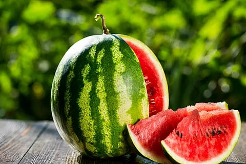 Watermelon