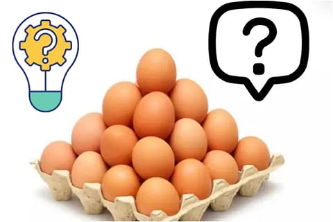 egg