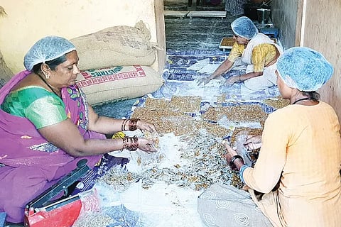 Chikki