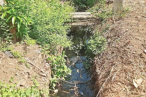 Drainage problem