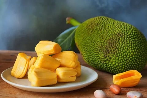 Jackfruit