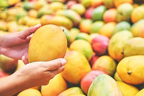 Mango (2)