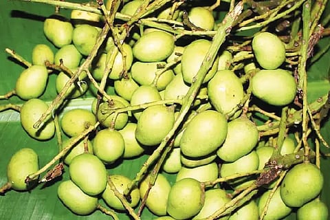 Mango