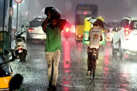 Rains