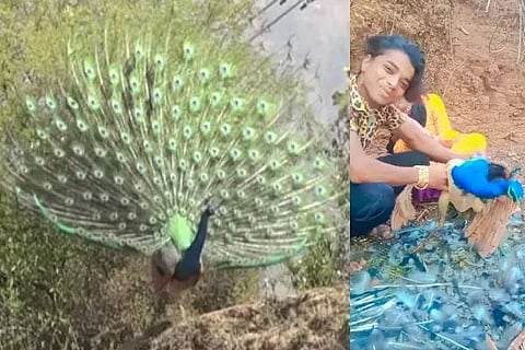 VIral Video