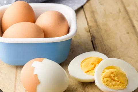 egg
