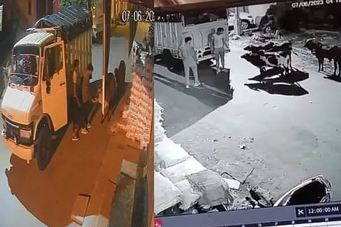 Crime
