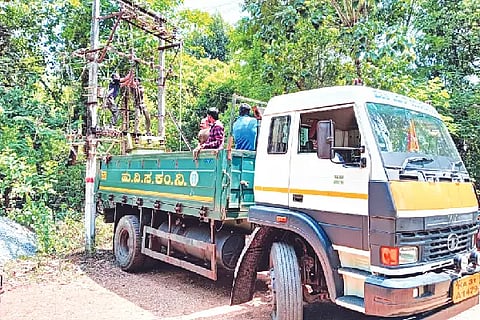 JUNGLE CUTTING