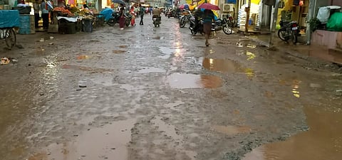 LXR RAIN
