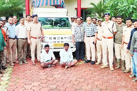 Thieves arrest