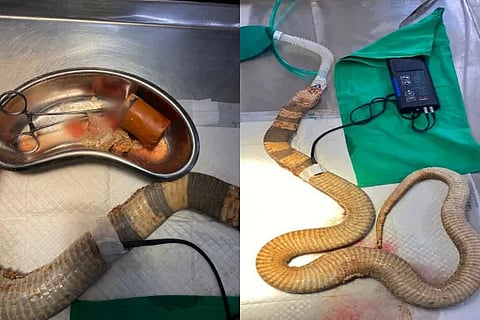 Snake Operation