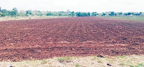SVR Drought