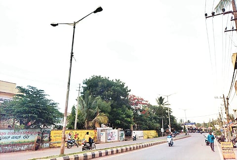 Street Light
