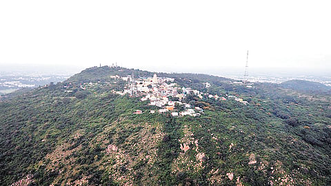 mysore