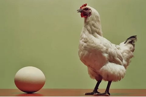 chicken