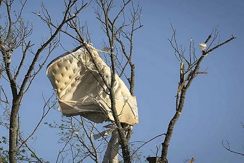 mattress in tree