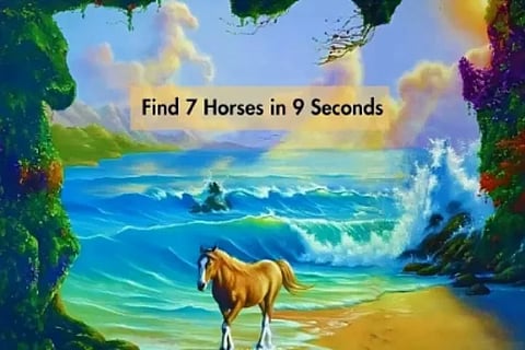 opticalillusion (2)