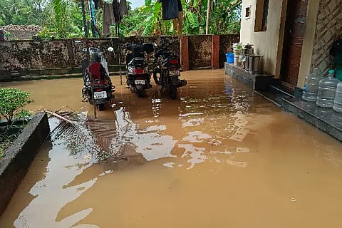 padubailu