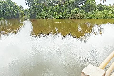 panja river