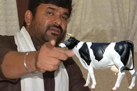 plastic cow