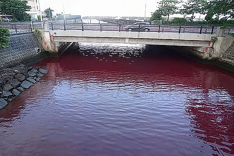 red river japan