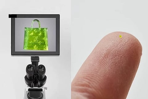 world smallest bag