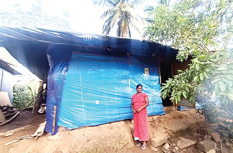 ಚಿತ್ರ 02