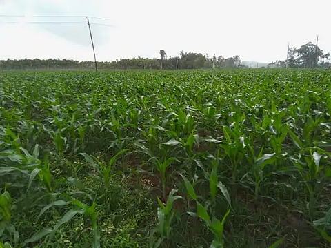 17 ಎಸ್ಕೆಪಿ_1b