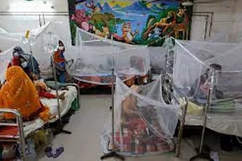 2292 cases Bangladesh records highest number of hospitalization of dengue patients in a day