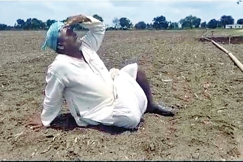 The agricultural sector is worried about drought!
